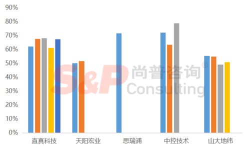 軟件和信息技術服務業(yè)企業(yè)IPO募投項目設計與審核要點